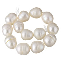 Bouton de culture des perles d'eau douce, perle d'eau douce cultivée, naturel, blanc, 12-16mm Environ 0.8mm Environ 15 pouce, Vendu par brin