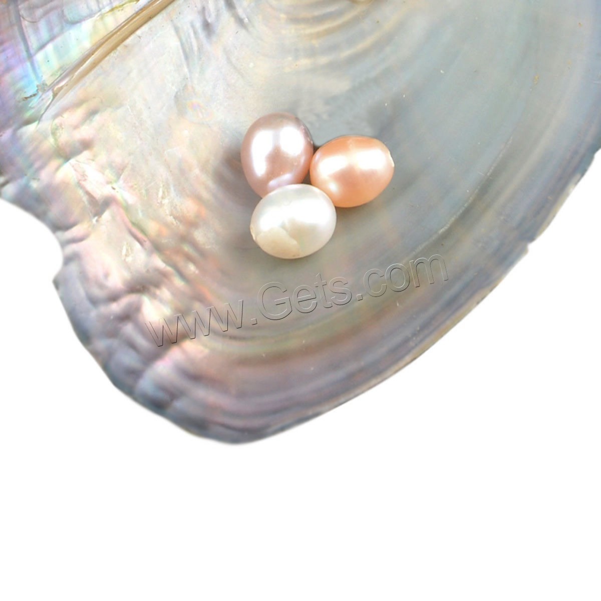 Huître perlière d’eau douce cultivées amour désir, coquille, avec perle d'eau douce cultivée, coquille, Nacre & normes différentes pour le choix, Vendu par PC