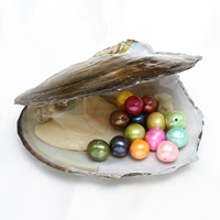 Ostra de la perla de agua dulce cultivadas amor deseo, Madre Perla, más colores para la opción, 8-9mm, agujero:aproximado 0.8mm, Vendido por UD