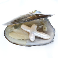 Süßwasser kultiviert Liebe Wunsch Pearl Oyster, Perlen, Kreuz, Perlmutt, 26x45x9mm, verkauft von PC