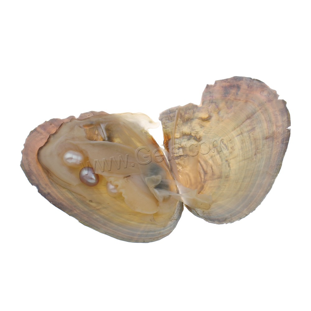 Süßwasser kultiviert Liebe Wunsch Pearl Oyster, Perlen, Perlmutt & verschiedene Größen vorhanden, 10PCs/Menge, verkauft von Menge