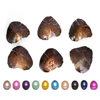 Ostra de la perla de agua dulce cultivadas amor deseo, Madre Perla, más colores para la opción, 9-9.5mm, Vendido por UD