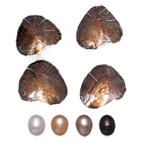 Freshwater Cultured Love Wish Pearl Oyster, Rice, mother of Pearl 7.5-8mm 