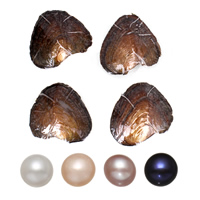 Freshwater Cultured Love Wish Pearl Oyster, Potato, mother of Pearl 7-8mm 