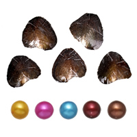 Freshwater Cultured Love Wish Pearl Oyster, Potato, mother of Pearl, mixed colors, 7-8mm [