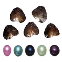 Freshwater Cultured Love Wish Pearl Oyster, Rice, mixed colors, 9-9.5mm 