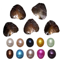 Freshwater Cultured Love Wish Pearl Oyster, Rice, mixed colors, 9-9.5mm [