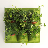 Wall Planting bolsas de viaje, Telas no tejidas, 9 Bolsillos & diseño de la planta, verde, 0.5x0.5m, Vendido por UD