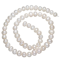 Perles de nacre rondes de culture d'eau douce, perle d'eau douce cultivée, naturel, blanc, grade A, 7-8mm Environ 0.8mm Environ 15.5 pouce, Vendu par brin