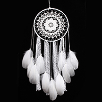 Fashion Dream Catcher, Iron, with Lace & Feather & Polyester Cord, Tassel, painted, 500-550mm 