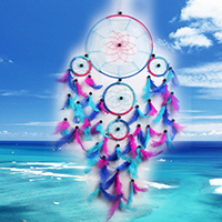 Fashion Dream Catcher, Polyester, with Feather & Wood, Tassel, painted, 700-750mm 