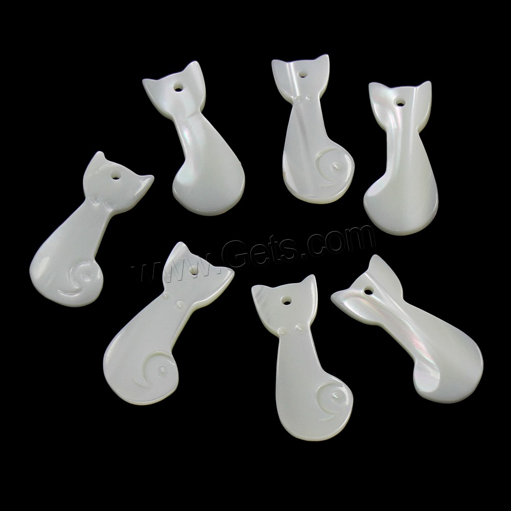 Concha de labios blancos colgante, Gato, 10x21.5x2.5mm, agujero:aproximado 1mm, Vendido por UD