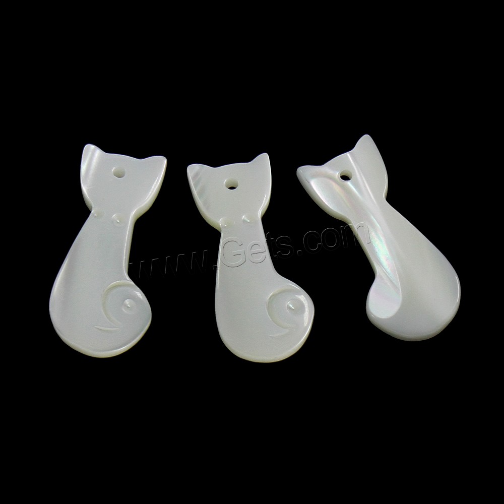 Concha de labios blancos colgante, Gato, 10x21.5x2.5mm, agujero:aproximado 1mm, Vendido por UD