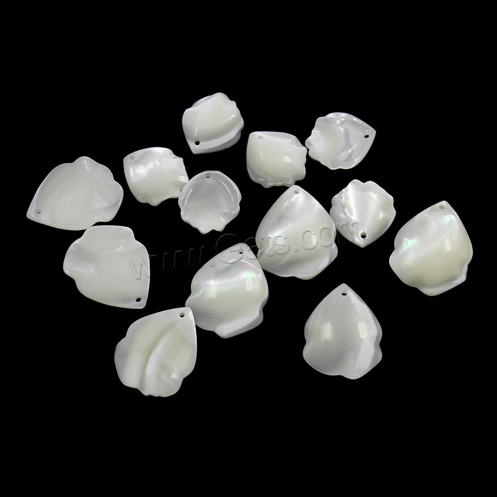 White Lip Shell Pendant, different size for choice, Hole:Approx 0.8-1mm, Sold By PC