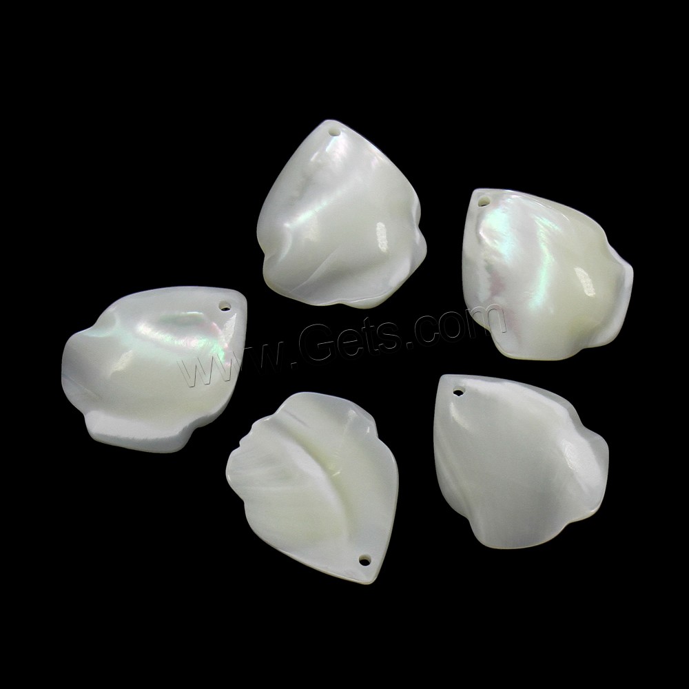 White Lip Shell Pendant, different size for choice, Hole:Approx 0.8-1mm, Sold By PC