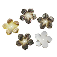 Perles de coquillage noir Lip, coquille noire, fleur Environ 1mm, Vendu par PC[