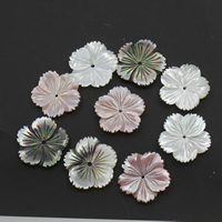 Weiße Lippenschale Perlen, Rosa Muschel, mit Weiße Lippenschale & Schwarze Muschel, Blume, 20x3mm, Bohrung:ca. 1mm, verkauft von PC