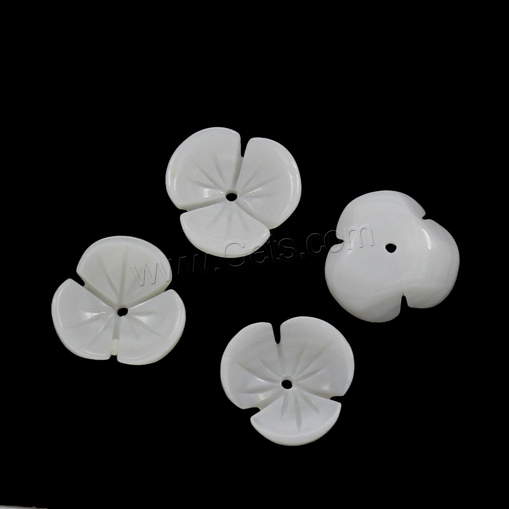 Cuentas de Concha de Labio Blanco, Concha de agua dulce, Flor, diverso tamaño para la opción, agujero:aproximado 1mm, Vendido por UD