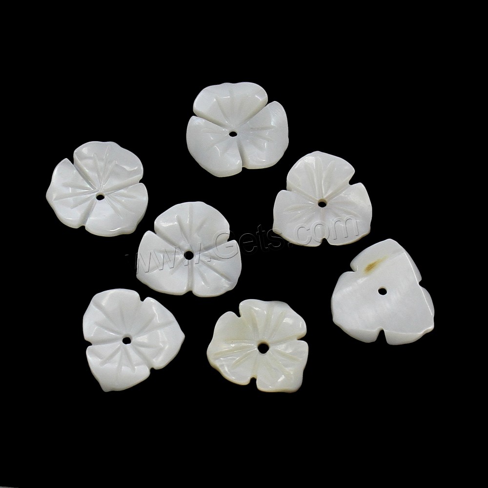 Cuentas de Concha de Labio Blanco, Concha de labios blancos, Flor, diverso tamaño para la opción, agujero:aproximado 1mm, Vendido por UD