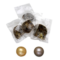 Huître perlière d’eau douce cultivées amour désir, perles Akoya cultivées, pomme de terre, Nacre, plus de couleurs à choisir, 10-11mm, Vendu par PC