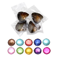 Freshwater Cultured Love Wish Pearl Oyster, Freshwater Pearl, Button, mother of Pearl 10-11mm 