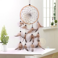 Fashion Dream Catcher, Iron, with ABS Plastic Pearl & Waxed Linen Cord & Feather, 40-45cm 