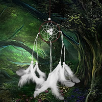Fashion Dream Catcher, Plastic, with Feather & Cotton & Wood, white, 37cm 