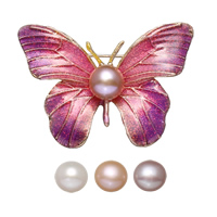 Freshwater Pearl Brooch, Brass, with cardboard box & Freshwater Pearl, Butterfly, gold color plated, for woman & enamel & colorful powder nickel, lead & cadmium free  