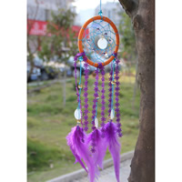 Fashion Dream Catcher, Feather, with Lace & Polyester Cord & Nylon Cord & Glass Seed Beads, 450mm 