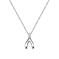 Stainless Steel Jewelry Necklace, 316L Stainless Steel, with 2lnch extender chain, Wishbone, oval chain & for woman, original color Approx 15.7 Inch 