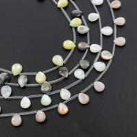 Natural Freshwater Shell Beads, Teardrop Approx 0.5mm Approx 12.9 Inch 