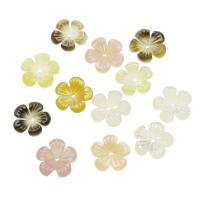 La Perla de Concha Natural, Nácar, Flor, diferentes materiales para la opción, 10x10x1.5mm, agujero:aproximado 0.5mm, Vendido por UD