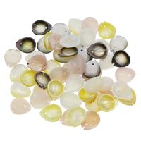 Natural Freshwater Shell Beads, Leaf Approx 0.5mm 