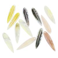 Natural Freshwater Shell Pendants, Leaf Approx 0.5mm 