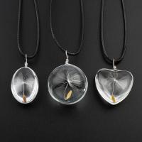verre collier, avec Ciré Nylon & Fleurs séchées, avec 4cm chaînes de rallonge, styles différents pour le choix & pour femme Environ 15.5 pouce, Vendu par brin