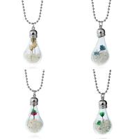 Glass Globe Necklace, with Dried Flower & Crystal & Zinc Alloy, Light Bulb, ball chain & for woman Approx 19.5 Inch 