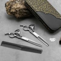 Stainless Steel Hair Product Set, comb & thinning shears & flat scissors, three pieces 