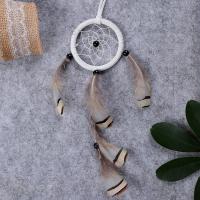Fashion Dream Catcher, Plastic, with Feather & Velveteen Cord, Tassel 