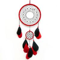 Fashion Dream Catcher, Plastic, with Feather & Nylon Cord & Glass Seed Beads, Tassel, 500-550mm 