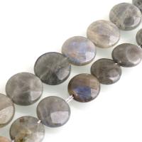 Labradorite Beads, Flat Round Approx 0.5mm Approx 15 Inch 