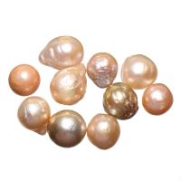 Kultivierte kernhaltige Süßwasserperlen, kultivierte Süßwasser kernhaltige Perlen, kein Loch, gemischte Farben, 10-13mm, verkauft von PC