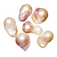 Freshwater Cultured Nucleated Pearl Beads, Cultured Freshwater Nucleated Pearl, no hole, mixed colors, 11-13mm 