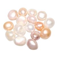 Perlas Cultivadas Nucleadas de Agua Dulce, sin agujero, más colores para la opción, 11-15mm, Vendido por UD
