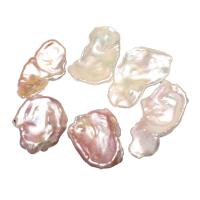 Perlas Cultivadas Nucleadas de Agua Dulce, sin agujero, más colores para la opción, 25-30mm, Vendido por UD