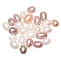 Perles d'eau douce de culture de riz, perle d'eau douce cultivée, normes différentes pour le choix & aucun trou, plus de couleurs à choisir, Vendu par PC