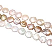 Coin Cultured Freshwater Pearl Beads, Flat Round, natural Approx 0.8mm Approx 15 Inch 