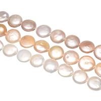 Coin Cultured Freshwater Pearl Beads, Flat Round, natural Approx 0.8mm Approx 15 Inch 