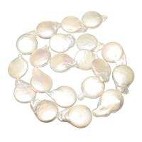 Baroque Cultured Freshwater Pearl Beads, Flat Round, natural white Approx 0.8mm 