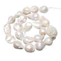 Kultivierte kernhaltige Süßwasserperlen, kultivierte Süßwasser kernhaltige Perlen, natürlich, weiß, 15-17mm, Bohrung:ca. 0.8mm, verkauft von Strang