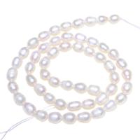 Potato Cultured Freshwater Pearl Beads, Rice, natural white Approx 0.8mm Approx 15 Inch 